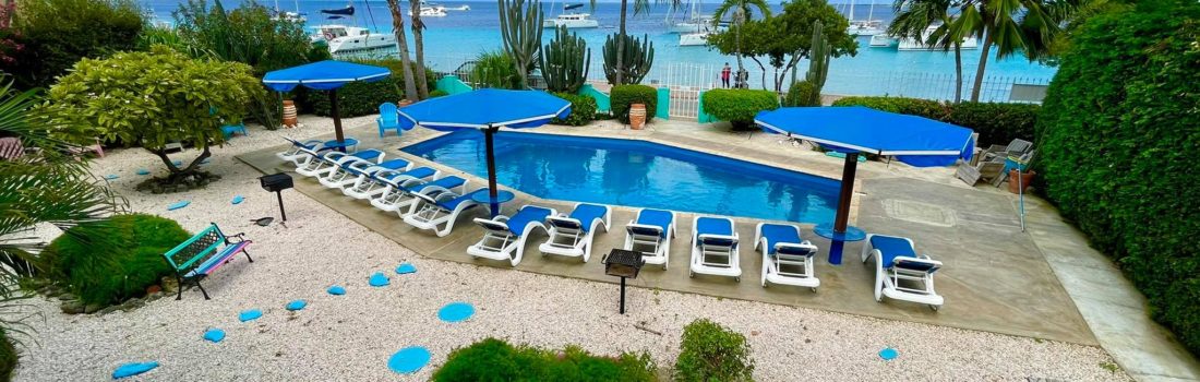 Bonaire back in business, new Covid update!