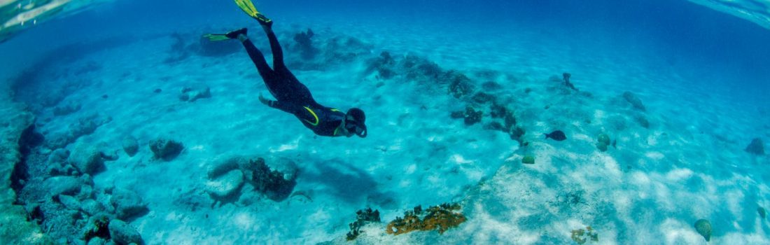 Ontdek de beste snorkelplekken op Bonaire